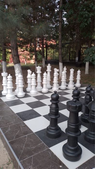 Шахматы парковые большие