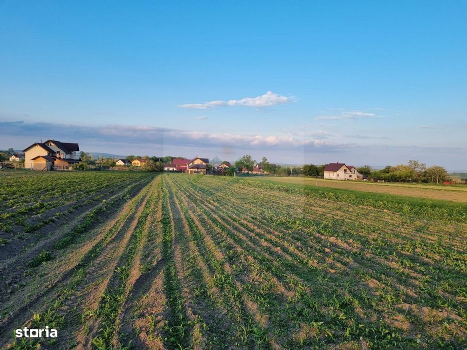 Teren intravila Ilișești