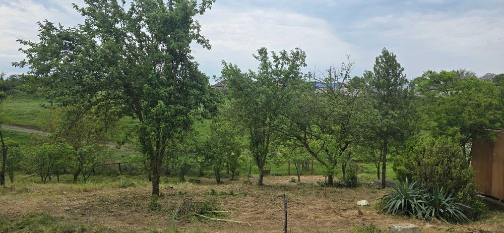 Casă bătrânească trainică din piatră, 4500 mp teren,pomi fructiferi  ,la doar 20 min de Mangalia