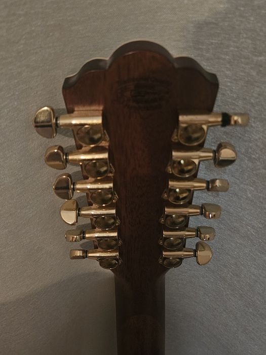 12-струнна китара Washburn