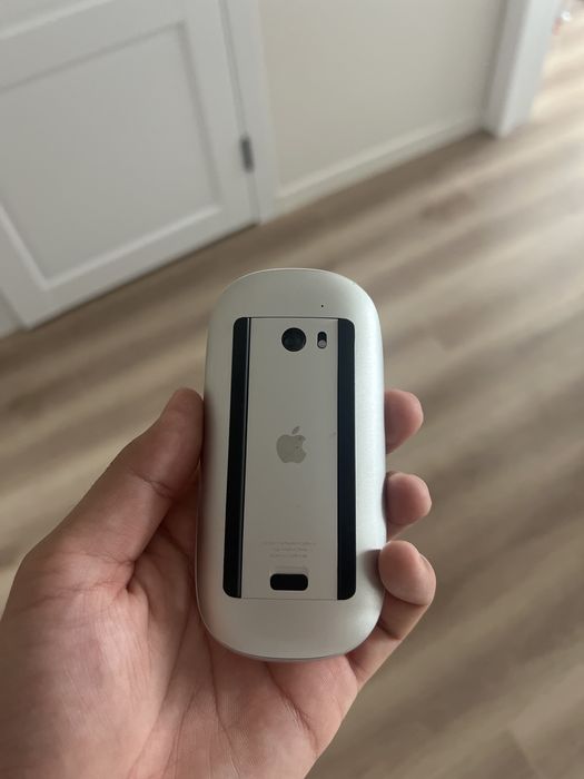 Apple Magic Mouse 1