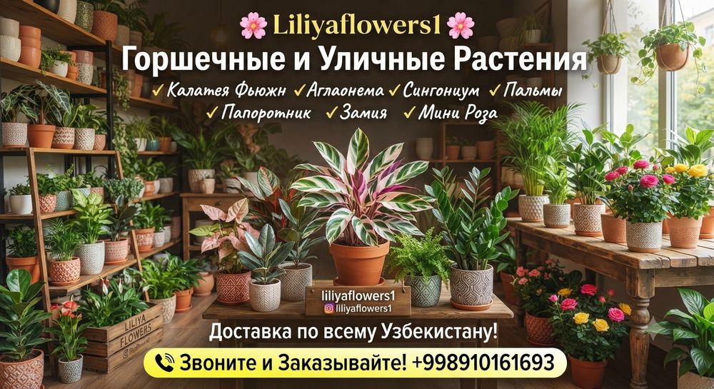 Калатея Лар коллекцияси