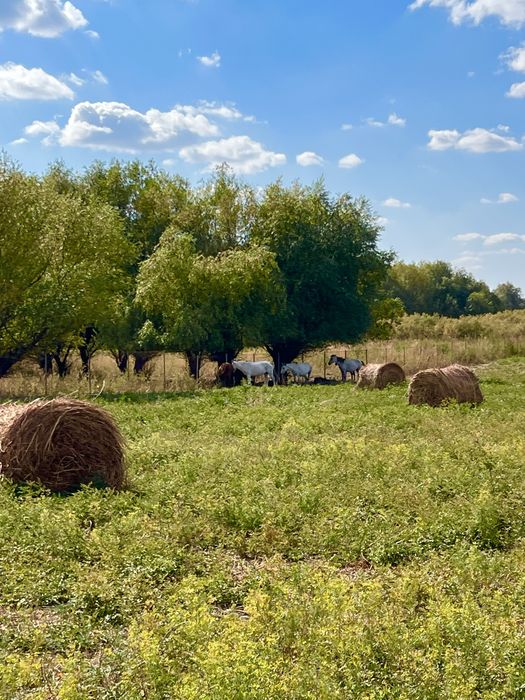 Продается база отдыха Аккайын