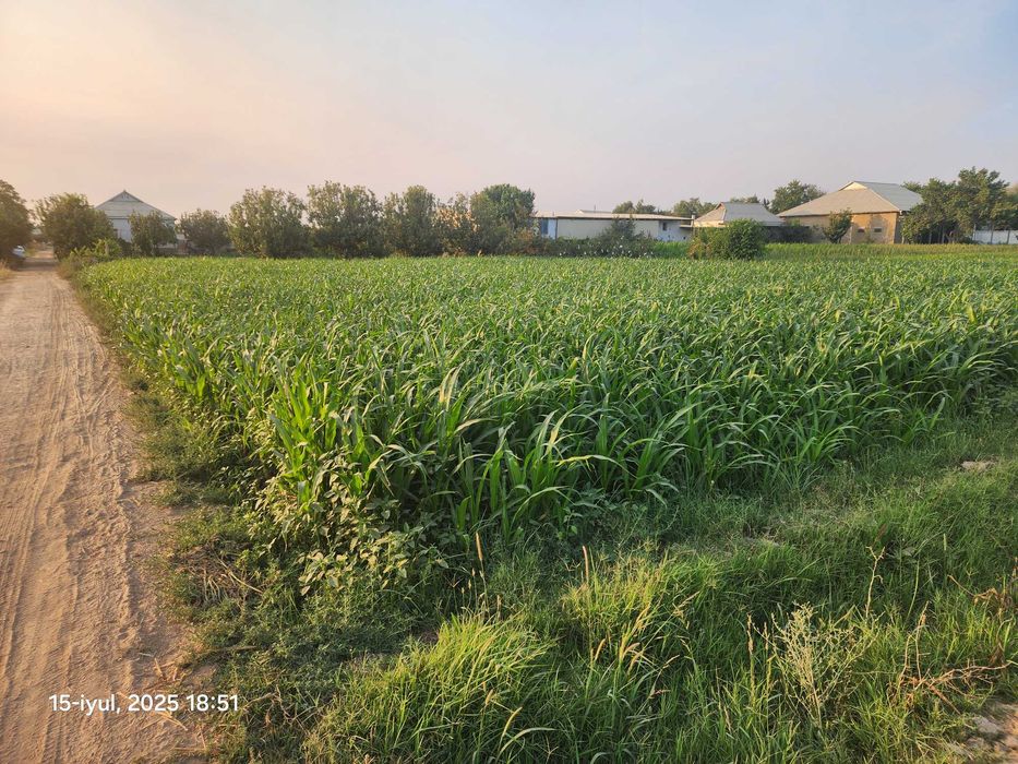 Uy-joy qurish va dehqonchilik uchun qulay yer maydoni sotilmoqda.