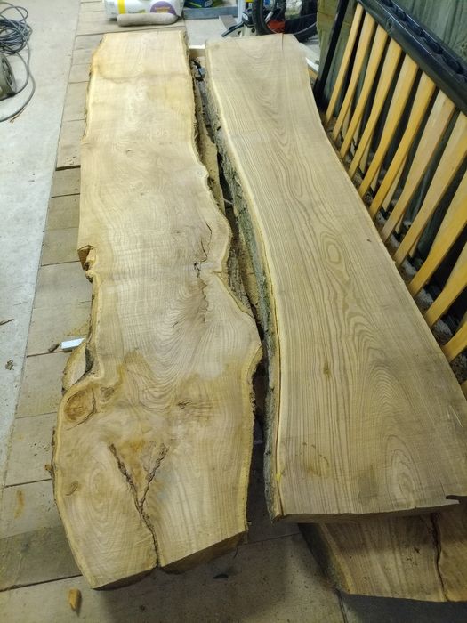 Талпи Японска Акация