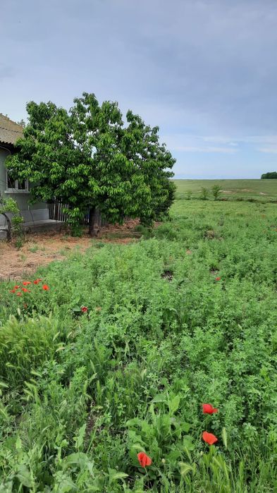 Casa sat Ciobanita, CT (4000mp teren) cadastru/intabulare