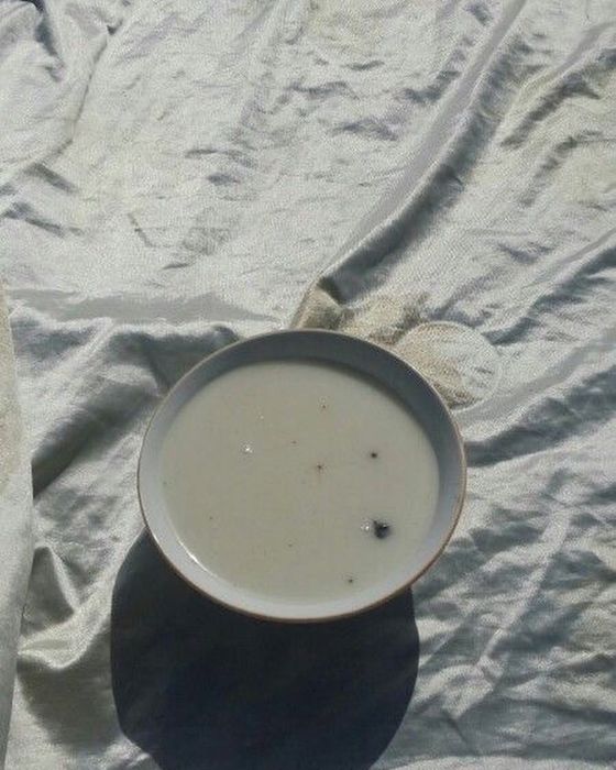 Кымыз Шубат оптом и в розницу