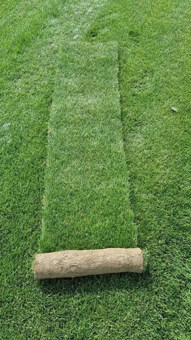 Vând și montez gazon Rulou și sistem de irigare