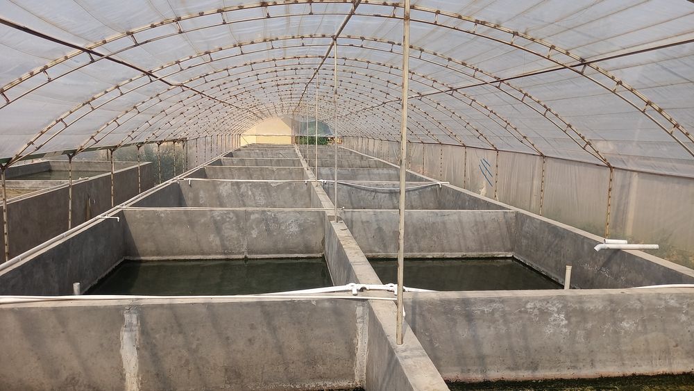 Chirchik shaxar yol yuziga yaqin avtoservice moyka ishlab chiqarish.