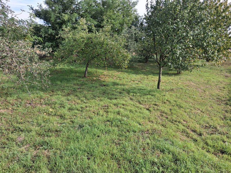 Schimb casă Iratoșu cu ap.1-2 camere sau vănd