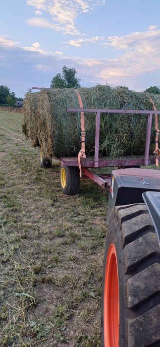 Baloti lucerna rorunzi