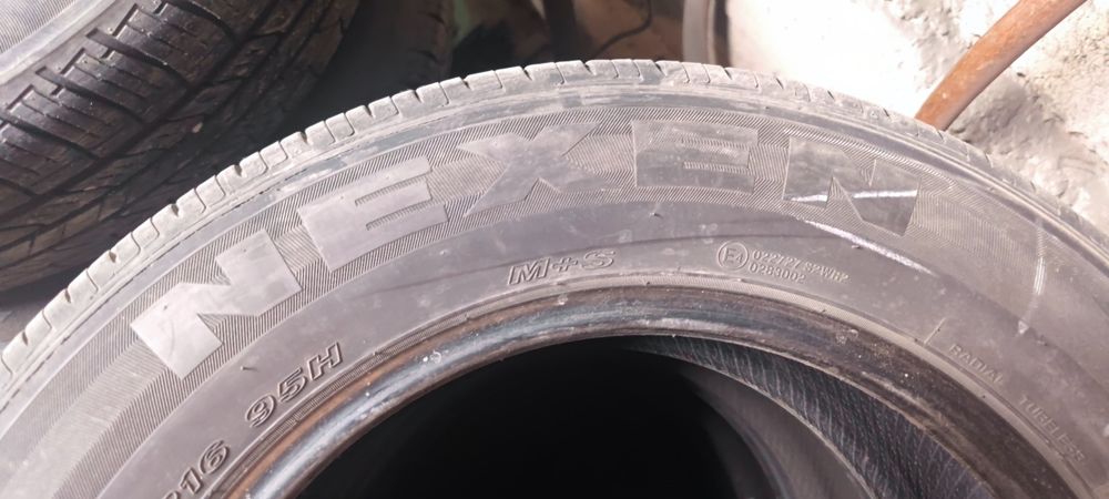 Шины летние Nexen