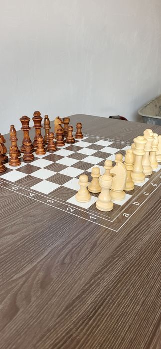 Шахматный стол с фигурами