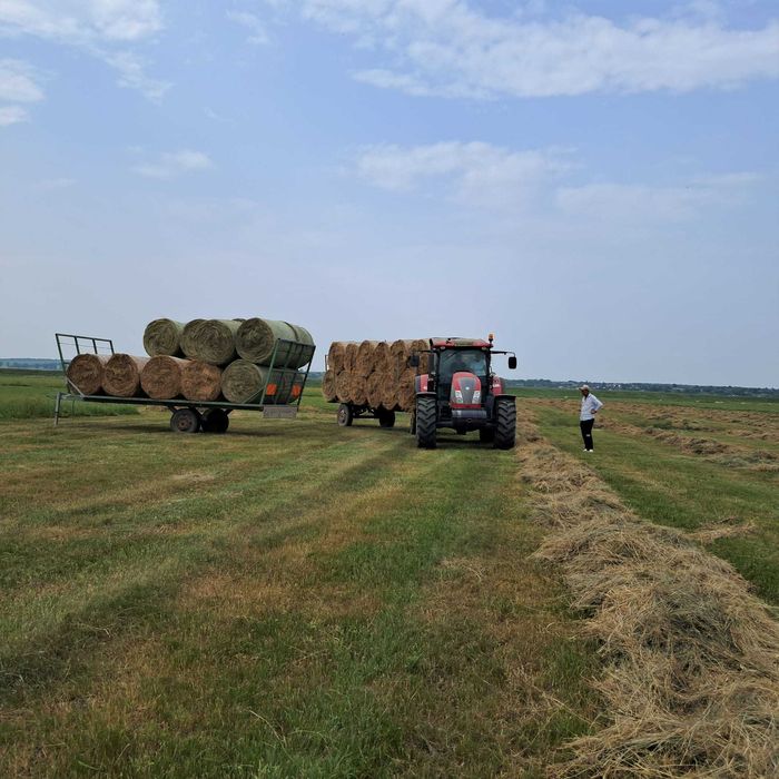 Baloti fan uscat 120x120 – calitate superioară