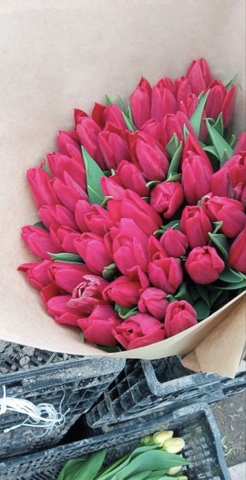 101 роза в наличий свежий