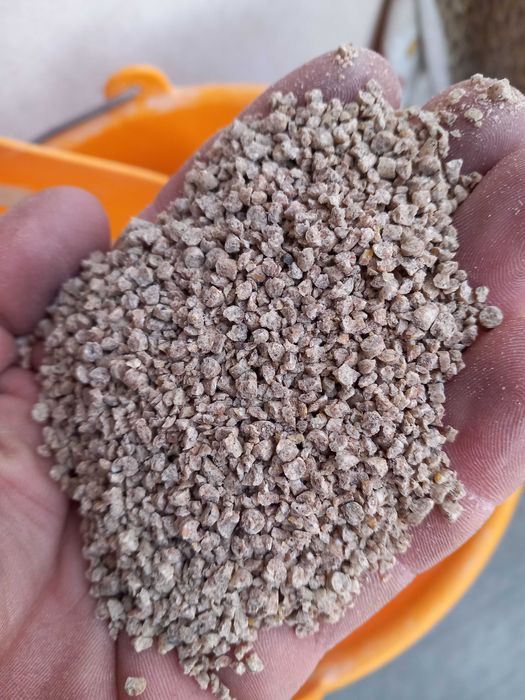 Furaj  brizurat  faza 1  pui  de găină sistem  intensiv