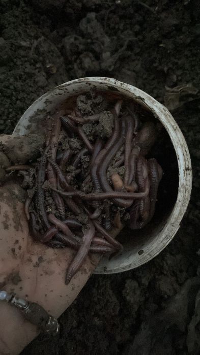 Vând rame negre pentru pescuit