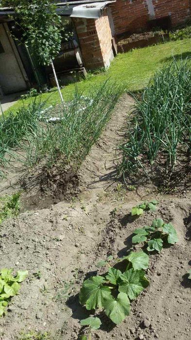 Продава се Къща в София, 7-ми 11-ти километър - 150 кв.м за 700 €/кв.м - Снимка #4