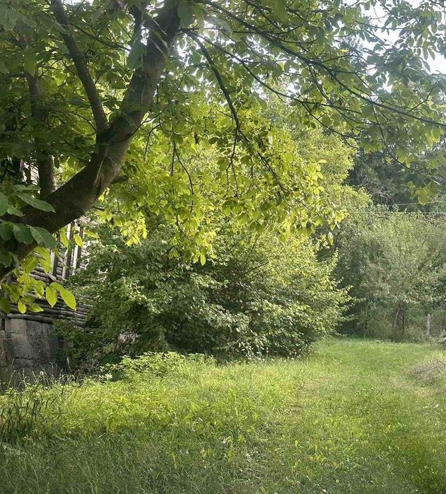 Продава се Парцел в с. Рибарица, Област Ловеч - 1765 кв.м за 26 €/кв.м - Снимка #5