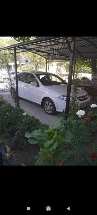 Машина  жентра деево