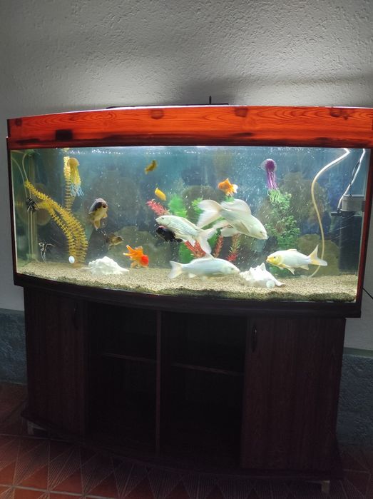 Аквариум 500л с тумбой