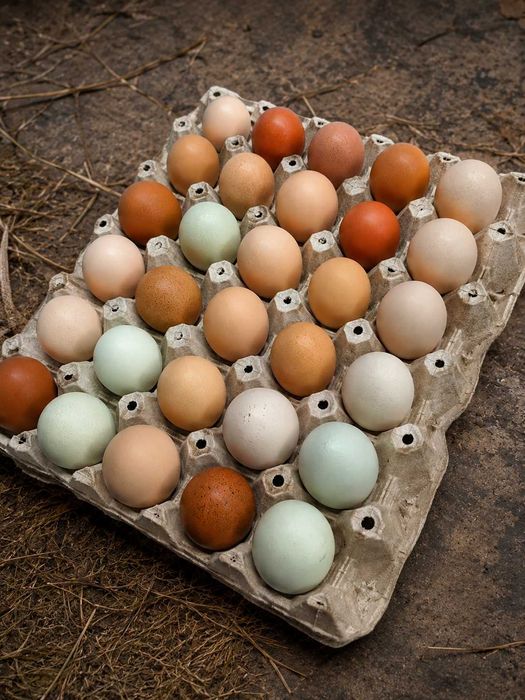 A&A Agro Farm / Oua BIO ,
