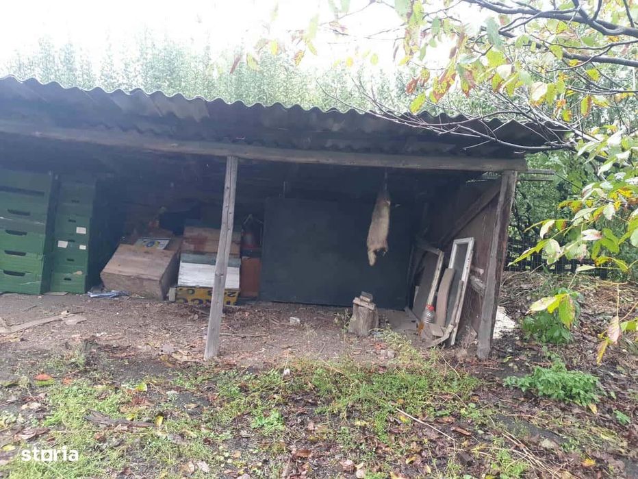 VADU Moldovei Suceava- Locuinta, Anexe, Magazin, Depozit si Teren