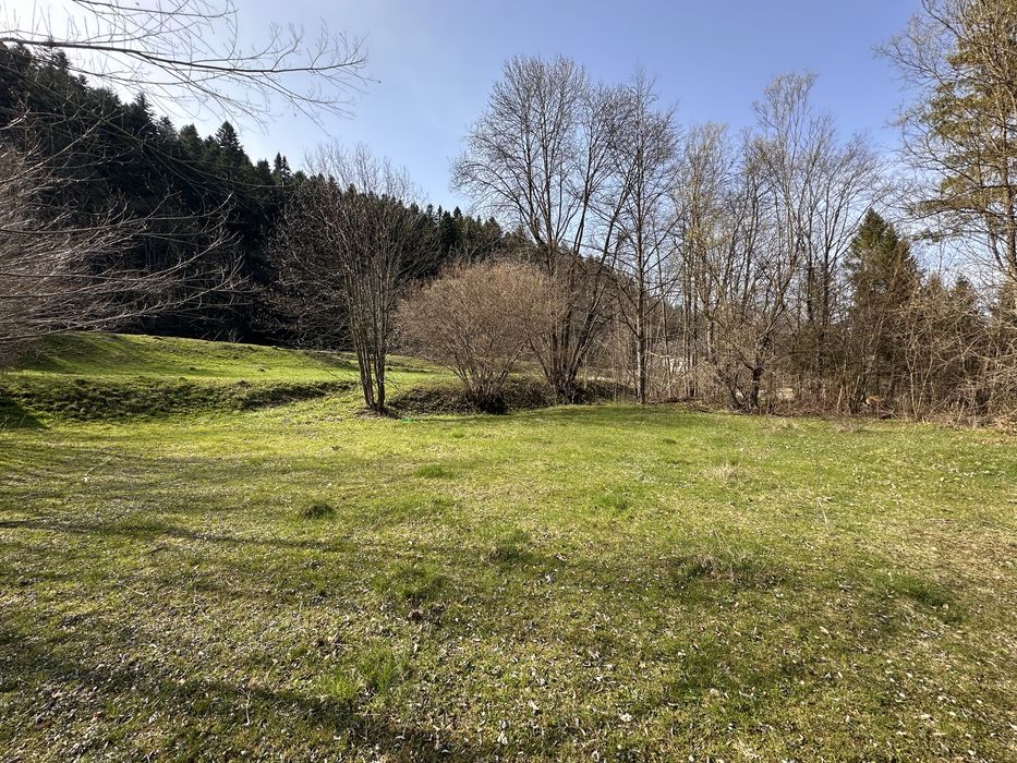 Vand 6888 mp in Putna Sv - ideal complex turistic / pensiune