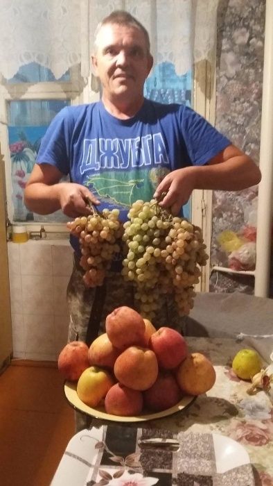 Услуги садовода.