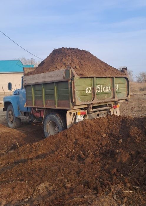 Көн кара шірік [навоз]