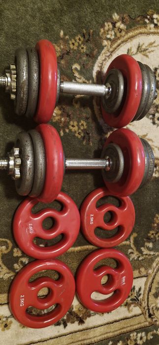 Set gatere reglabile 2×21 kg fiecare