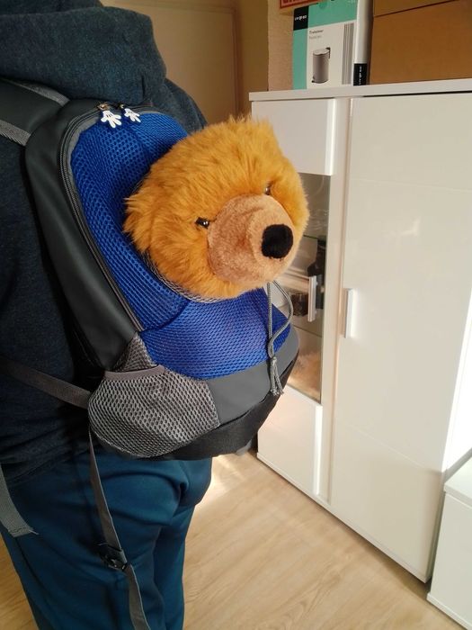 Раничка за домашен любимец.