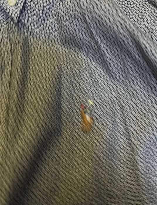 Camasa barbati Ralph Lauren