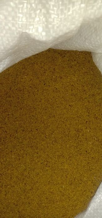 Жоңышқа тұқымы магниттелген