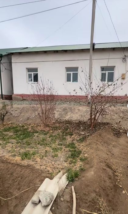 Уй сатылады боз ауылда