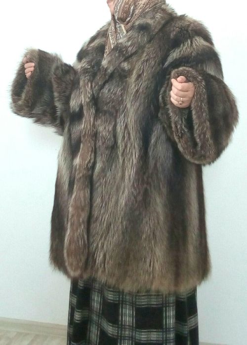 Италия, енот, новая