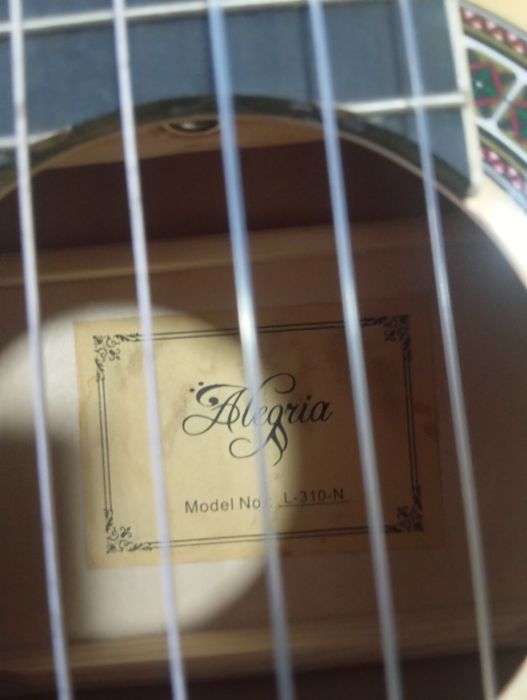 Gitara alergia L310N