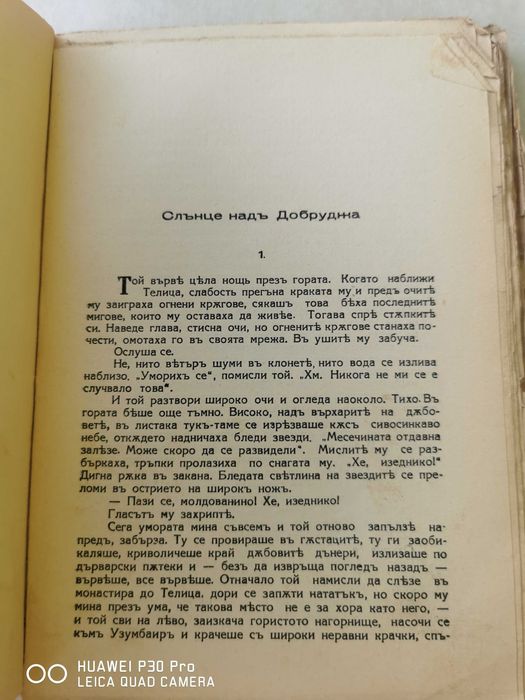 Стефан Караджа исторически роман