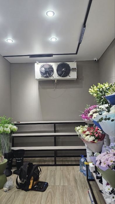 Ремонт холодильников, морозильных камер