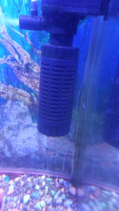 Акварюм с 5 рыбам