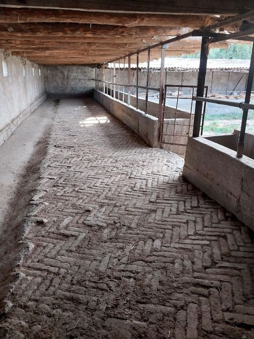 Продаю дом в хорошем состаянии газ свет вода есть без проблем