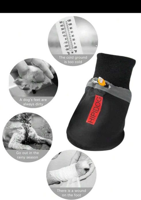 Обувки за куче мопс френски и подобни като размер