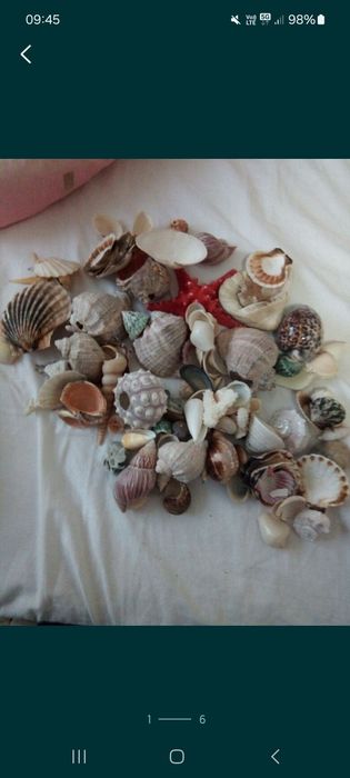 Cosuri pentru cadou,cos scoici si melci