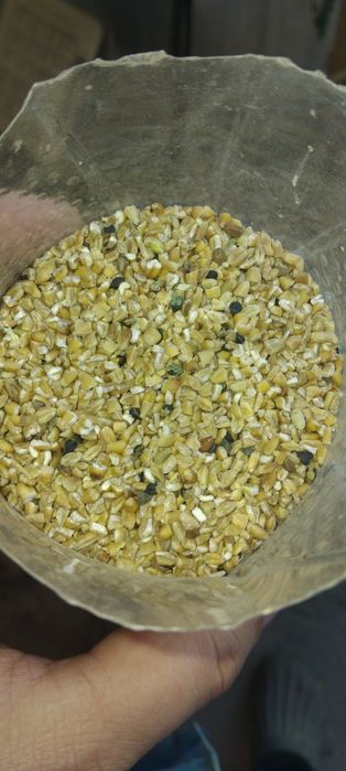 Продам отруби ,зерноотходы.зерно.