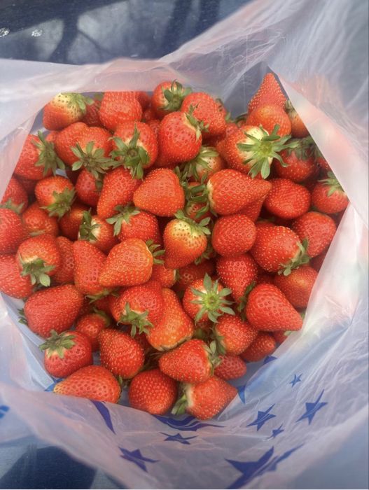 Продам заводскую теплицу