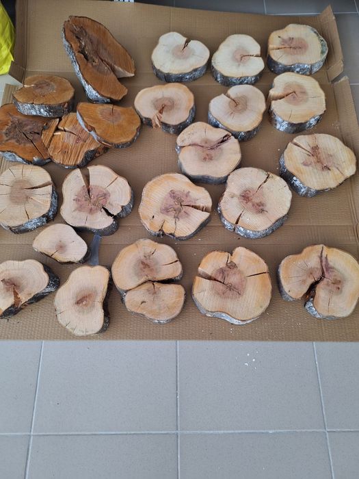 Шайби от естественно дърво 67 броя