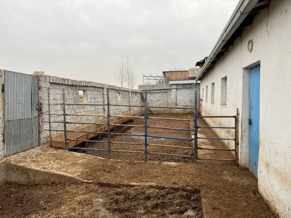 FERMA SOTILADI Qibray Arg’inda