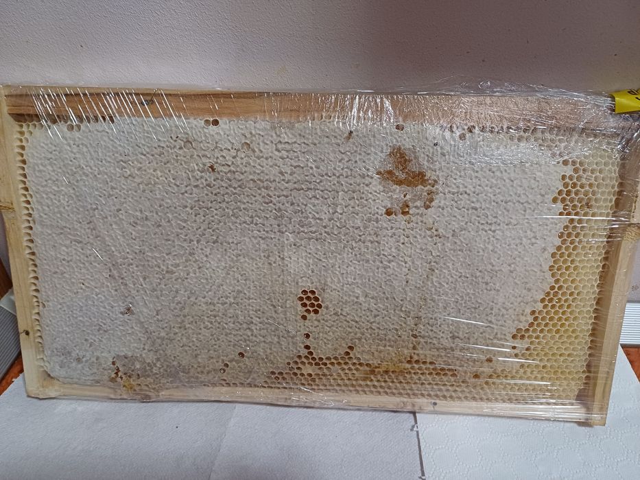 Rama intreaga cu 3kg faguri miere poliflora