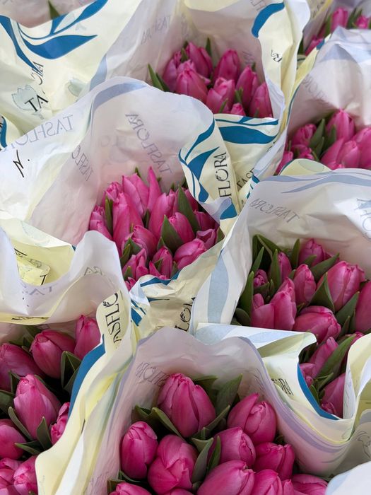 Лолалар ТЮЛЬПАНЫ Ташкент
