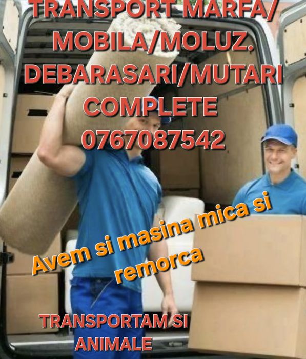 Transport marfa mobila mutari relocari cherestea animale